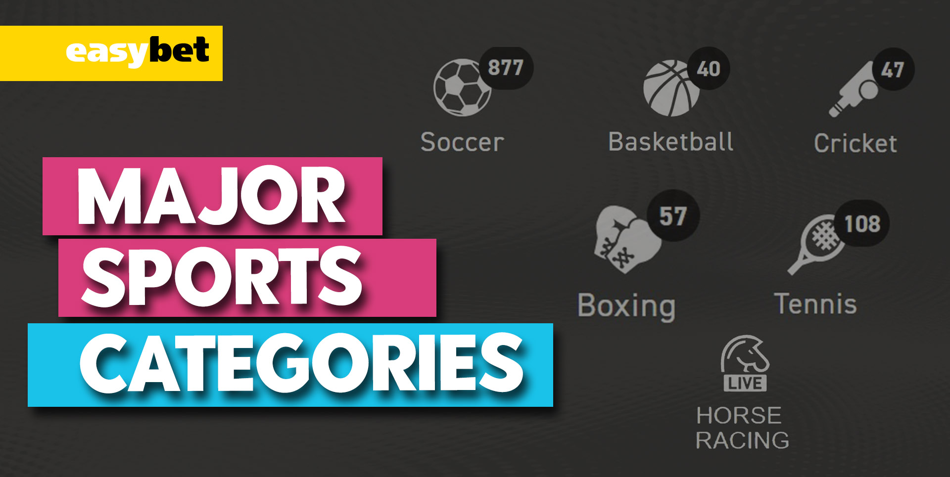 Major sports categories available on Easybet